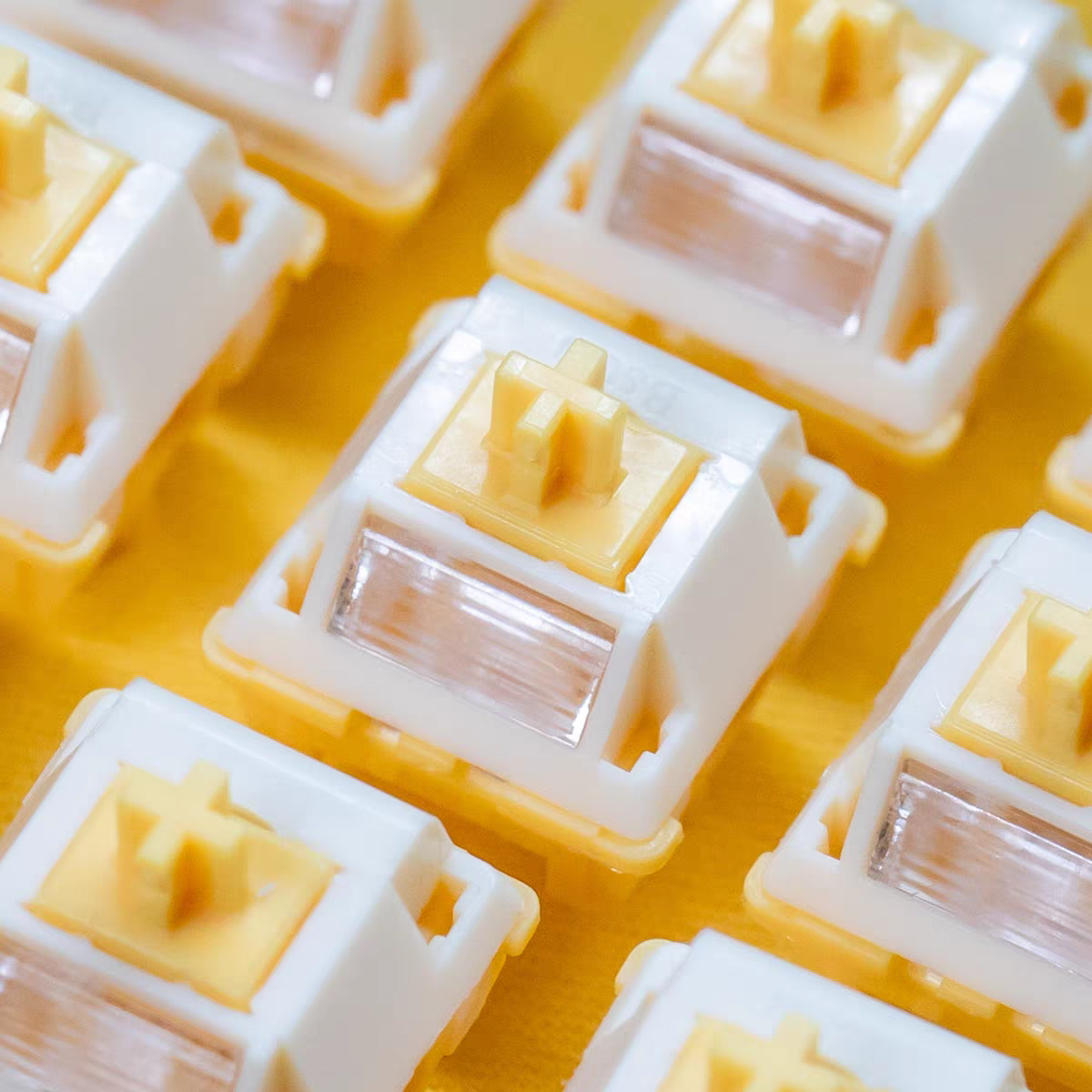 Milk Dragon V2 QVQ N2 Switch 5 - Gaming Keyboard Thocky reseña y precio