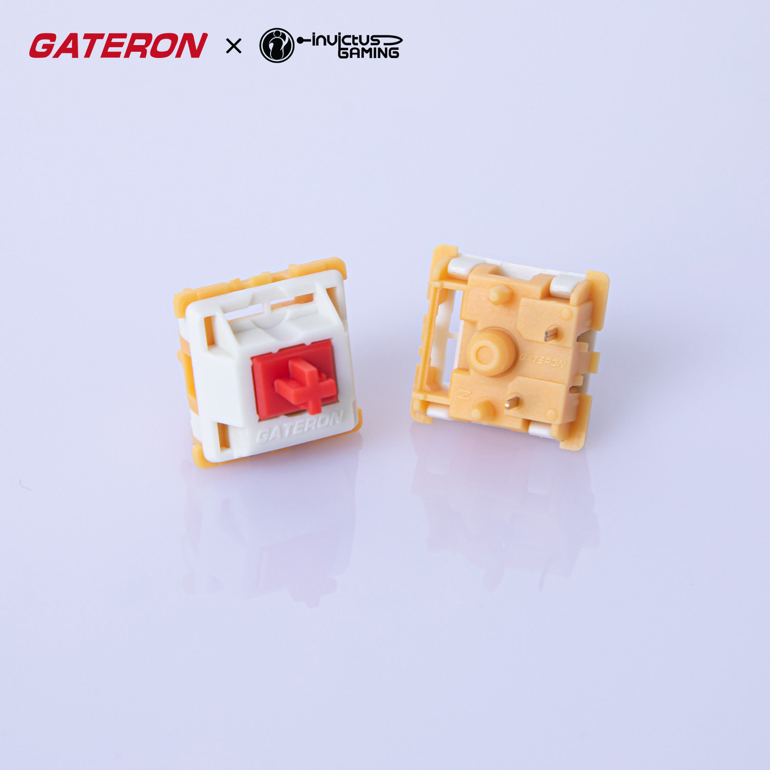 GATERON Mini i Switch Ahead Ta - Gaming Keyboard Mini Mechanical reseña y precio